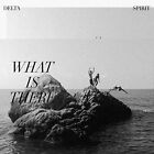 Delta Spirit - What Is There - Delta Spirit CD ZZLN La posta gratuita a buon mercato veloce