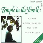 David Naegele - Tempio nella foresta - David Naegele CD MNVG The Fast Free