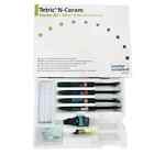 Ivoclar Vivadent Tetric N Ceram Dental Composite Resin Intro Kit Light-Curing