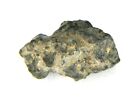 NWA 11788 Lunar meteorite (feldspathic breccia) Mali 0.897 Grams