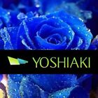 YOSHIAKI2001