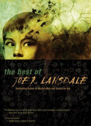 The Best of Joe R. Lansdale by Lansdale, Joe R - Bild 1 von 1