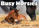 Busy Horsies (Busy Book) (A Busy Book) by Casi Lark Board book Book The Fast