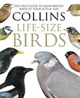 Collins Life-Size Birds: The Only Guide to Show British Birds at... by Read, Rob