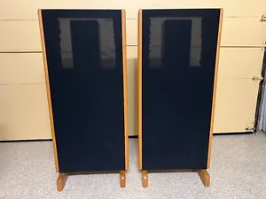 KINDEL AUDIO SPEAKERS MODEL PHANTOM AUDIOPHILE QUALITY EXC CONDITION SEE PHOTOS - Picture 1 of 14