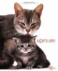 Cat's Life by Jane Burton Hardback Book The Fast Free Shipping