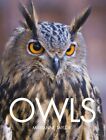 Owls by Marianne Taylor Book The Fast Free Shipping