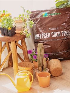 Unleashing the Power of Coco Husk Soil: A Sustainable Solution for Gardening