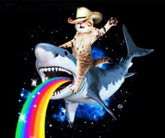 a cat in a cowboy hat riding on top of a shark with a rainbow streamer