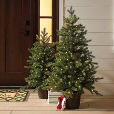 two potted christmas trees sitting on the ground in front of a door with lights