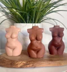 three ceramic nude women sitting in front of a potted plant on top of a wooden table