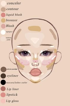 Makeup Placement Face Chart, Makeup For Face Type, Makeup Layout On Face, Where To Place Makeup On Face, Where To Put Makeup On Face, Makeup Placement Face, Makeup Map, Makeup Placement, Makeup Chart