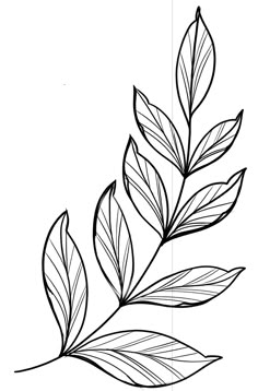 a black and white drawing of leaves