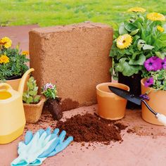 Unleashing the Power of Coco Husk Soil: A Sustainable Solution for Gardening Starting Succulents, Worm Castings, Lattice Trellis, Coco Coir, Garden Nook, Ceramic Planter Pots, Wood Planter Box