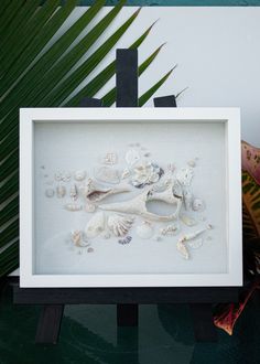 an image of seashells and seaweed in a white frame on a table