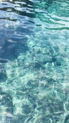 the water is very clear and blue with some small ripples on it's surface