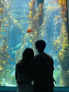 two people standing in front of an aquarium looking at fish