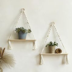 two hanging shelves with plants on them