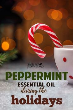 Peppermint is amazing at the holidays for the smell and the health benefits! Here are different ways to use peppermint essential oil during the holidays. via @fivespotgrnvlvng #peppermint #essentialoils #essentialoiluses #holidays #holidayseason #christmas Sleep Recipes, Bug Repellant, Peppermint Plants, Essential Oil Extraction, Growing Healthy Hair, Peppermint Extract, Pimples Remedies, Making Essential Oils, Stuffy Nose