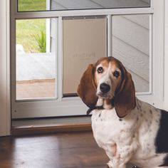 a dog sitting on the floor in front of an open door with its head up