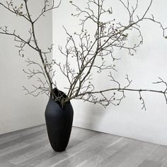 a black vase with branches in it sitting on the floor next to a white wall