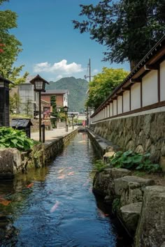 there is a small stream running between two buildings in the distance, with koi swimming in the water