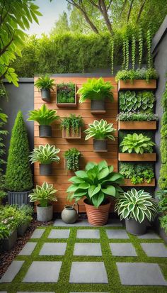 an outdoor garden with various plants on the wall