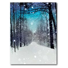 a snowy road with trees and snow flakes