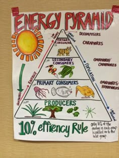 the energy pyramid is shown on a piece of paper