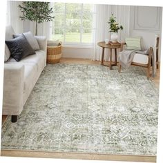 a living room with a couch, chair and rug on the floor in front of a window