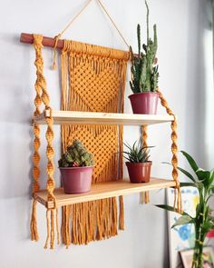 some plants are hanging on the wall with macrame and other things in them