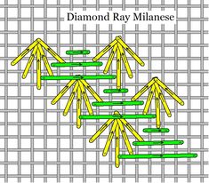 the diagram shows how many different branches are arranged