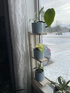 three potted plants sitting on top of a window sill next to a car