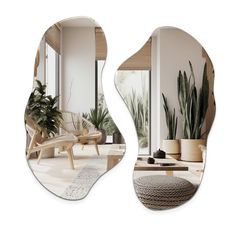 two mirrors that have plants in them and one is shaped like a fisheye mirror