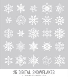 25 snowflakes are shown in white on a gray background with the words 25 digital snowflakes