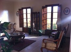 a living room filled with furniture next to two large windows and potted plants on the floor