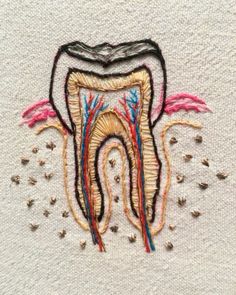 Dental Embroidery, Tooth Embroidery, Dentist Ideas, Future Dentist, Dental Aesthetics, Teeth Art, Dentistry Student