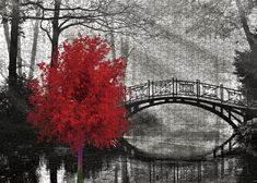 a red tree is in front of a bridge and some water with trees around it