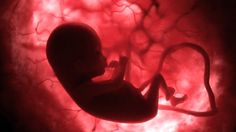 the silhouette of a baby in an inclosure