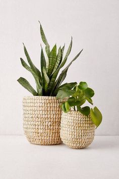 two woven baskets with plants in them