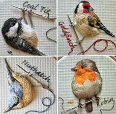 four different pictures of birds with fishing hooks and thread in their beaks, on the same page