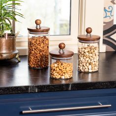 three glass jars filled with nuts sit on a counter next to a potted plant