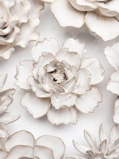 white flowers are arranged on a white surface