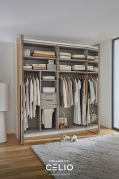 an open closet with clothes hanging on the walls and drawers, in front of a large window