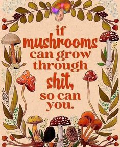 Fermented Mushrooms, Full Spectrum, Quotable Quotes, Pretty Words, Pretty Quotes, Wisdom Quotes, Cat Memes, Inspire Me