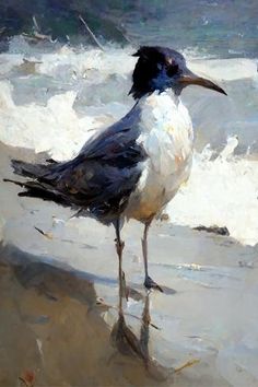 a painting of a black and white bird standing in the sand at the ocean's edge