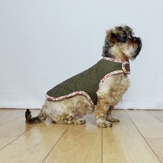 a small dog wearing a green vest on top of a wooden floor next to a white wall