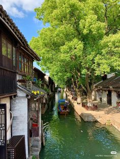 a river running between two buildings next to each other with trees growing on the sides