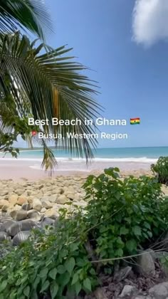 the beach is surrounded by rocks and plants, with palm trees in the foreground