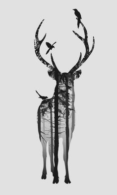 the silhouette of a deer with birds on it's antlers and trees in the background